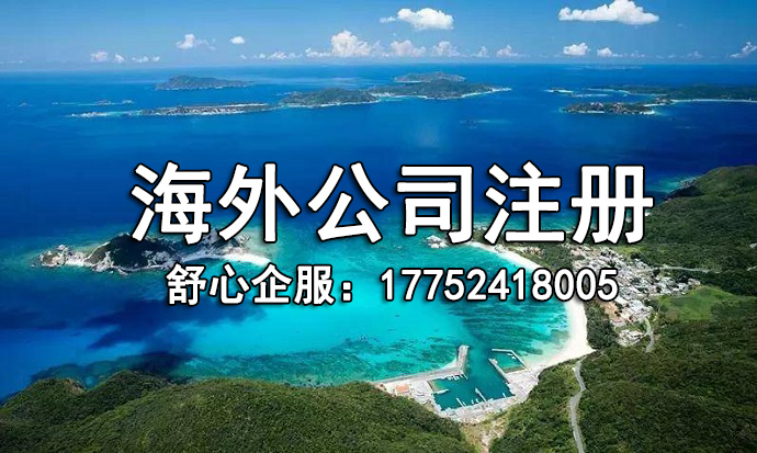 海外設立子公司